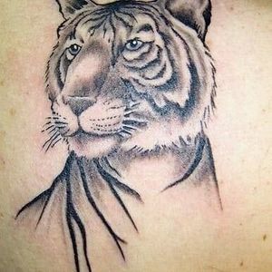 Meet your Posher, Omar